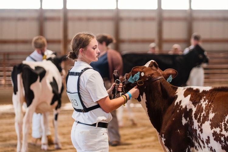 Jefferson County Fair