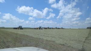 CW Horsager (2).jpg