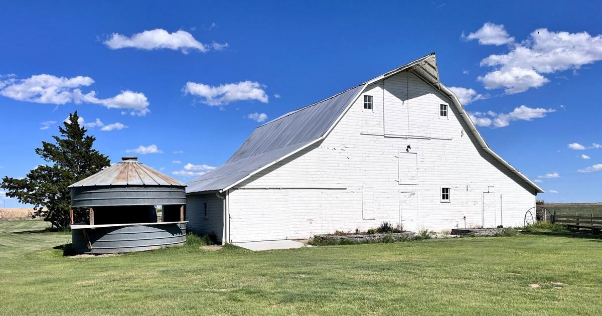 White barn 3.jpg