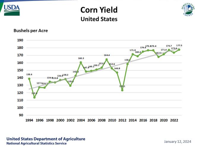corn yields
