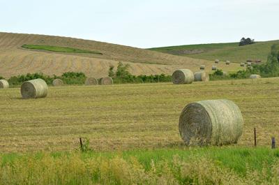 Farmers Perfume
