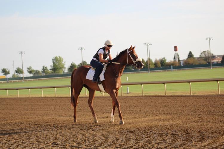 10 my happiness -- courtesy christine hicklin.jpg