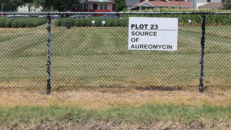 aureomycin test plot