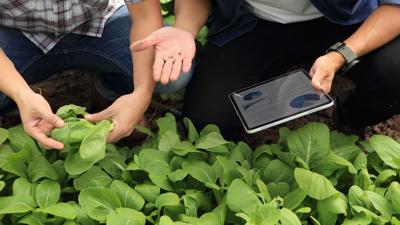 Second annual ag tech summit set for Nov. 6 in Bozeman