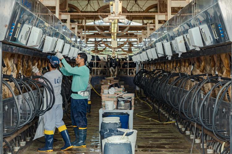 Milking parlor