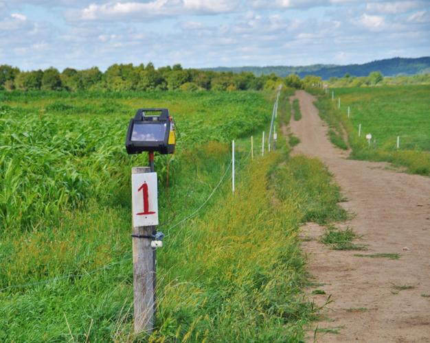 Solar-electrified fence