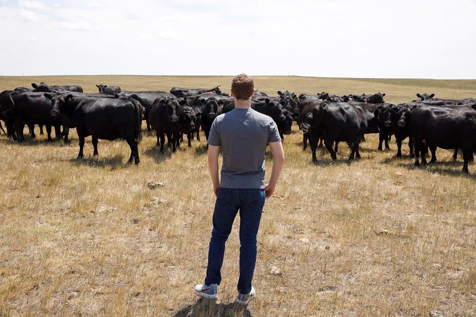 World reacts to Zuckerberg’s post on cattle