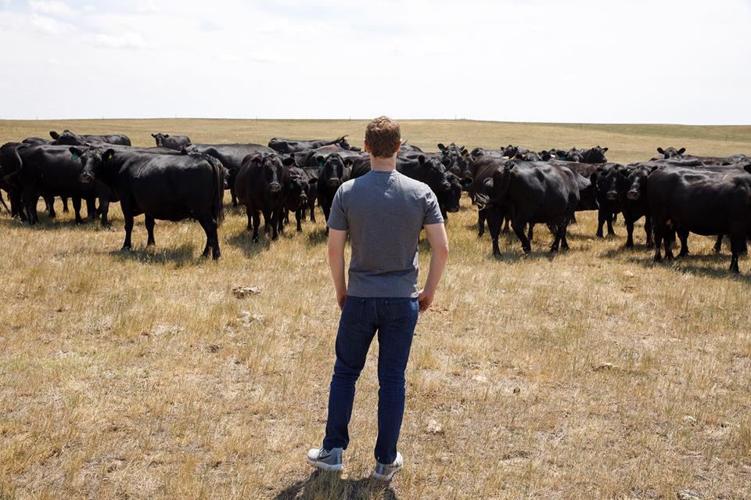 World reacts to Zuckerberg’s post on cattle