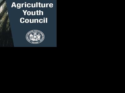 Next year's council chosen