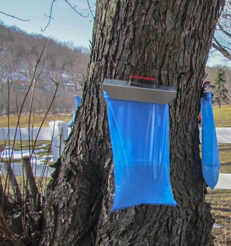 Sap bags and holders