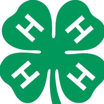 Wilton 4-H
