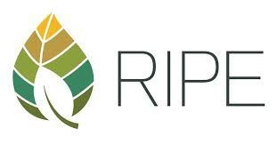 Realizing Increased Photosynthetic Efficiency logo