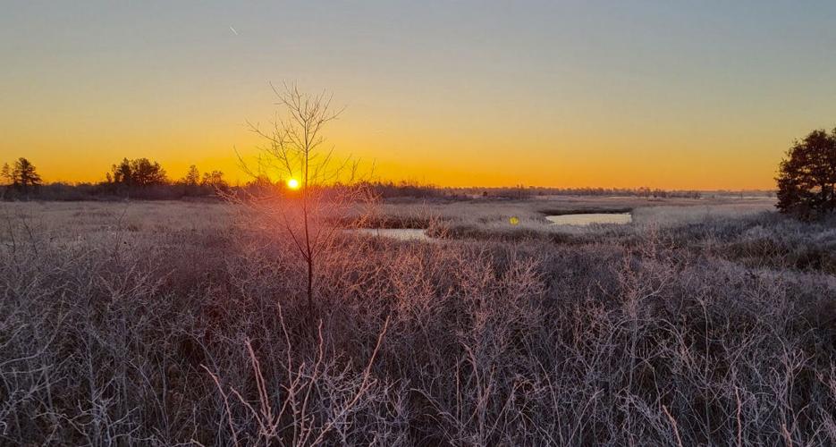 Sunrise