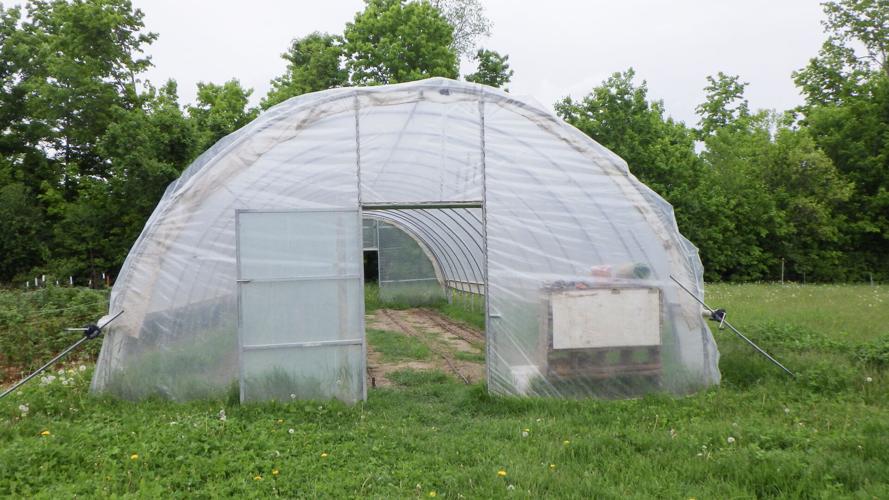 Greenhouse