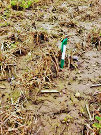 From the Fields: May 9 Josh Kroeplien