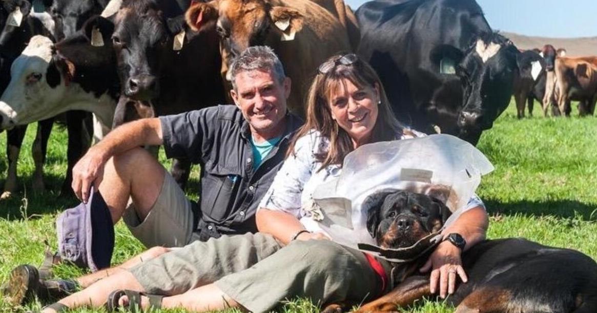 Dairy farmers on high alert for FMD