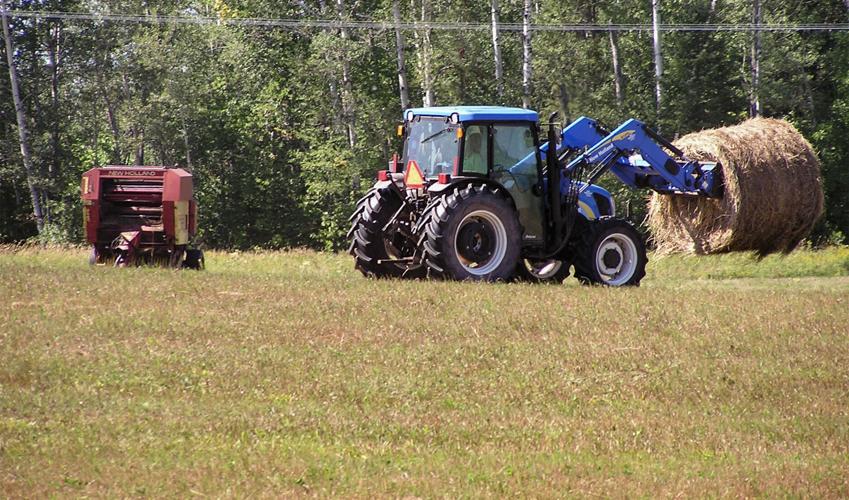 Tractor in field