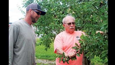 Tom Schwartz - Adam Smith