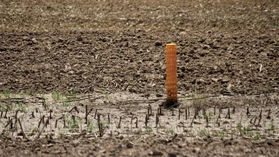 Fallow field