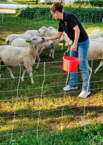 Olivia Halbur with sheep