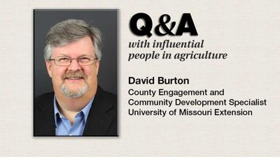 Q & A David BUrton