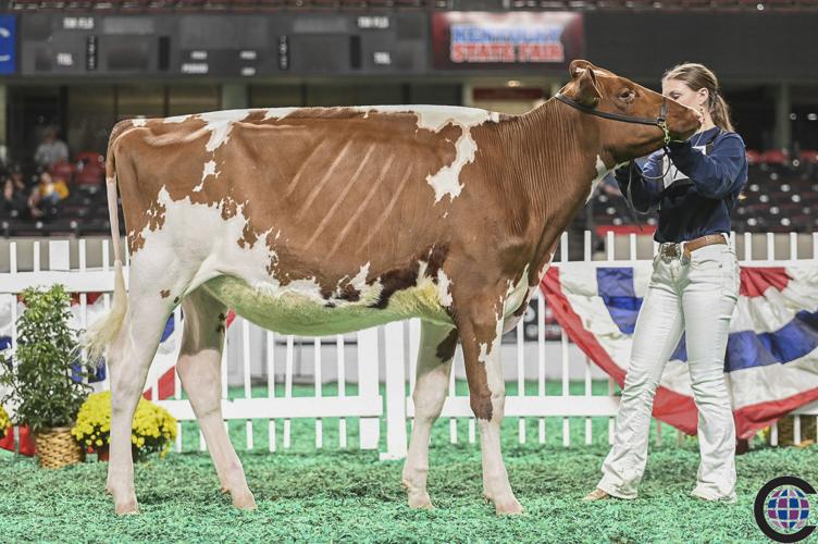 Lauren Breunig exhibits