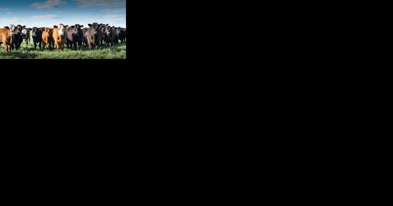 Canadian team tests virtual cattle fence - Vimarsana News