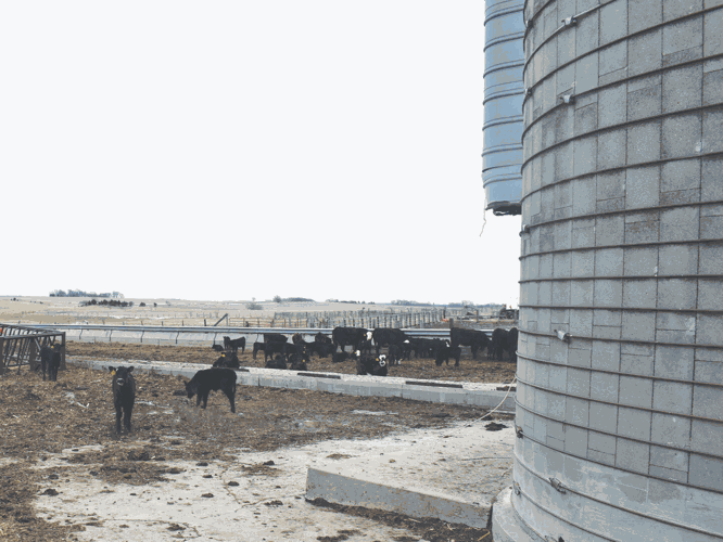 Silo-City-(36)-WORKEDWEB.gif