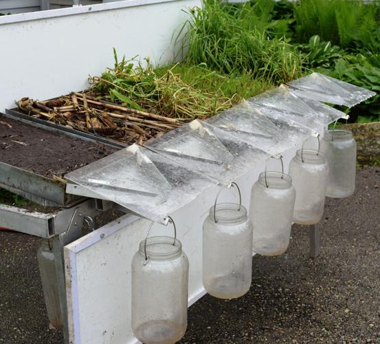 Rainfall-simulation demonstration trays