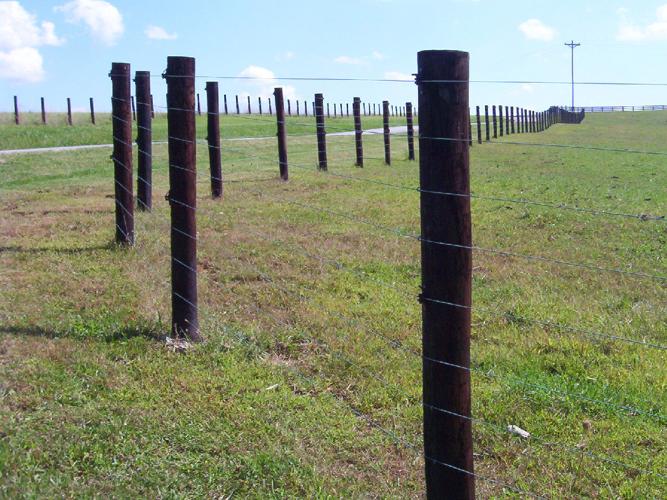 Fence repair 2.jpg