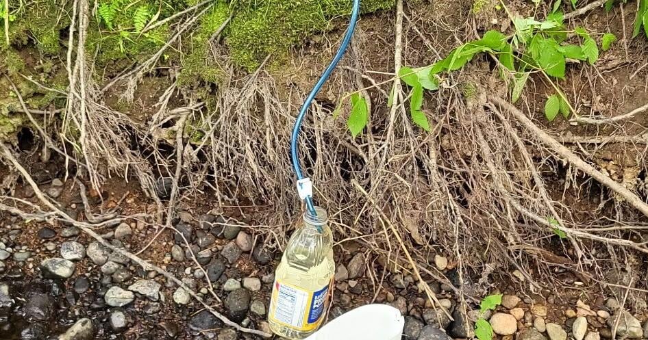 Water filter