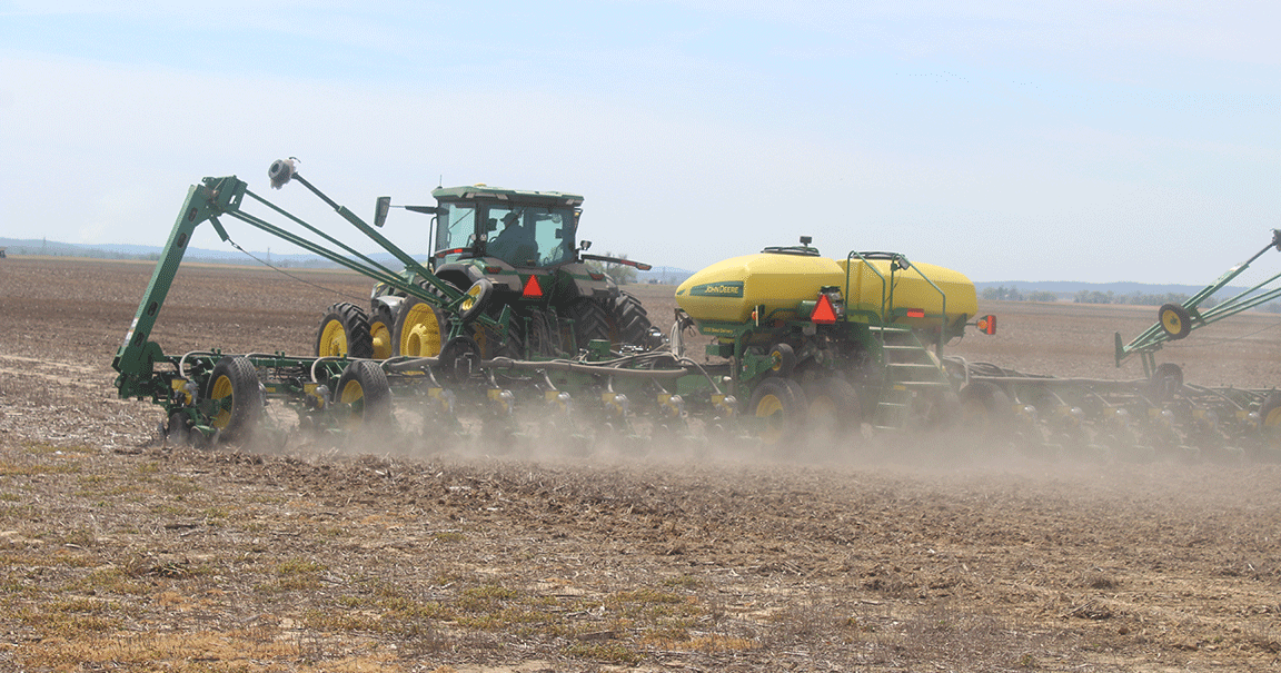 Timely rain follows early planting in southeast Illinois