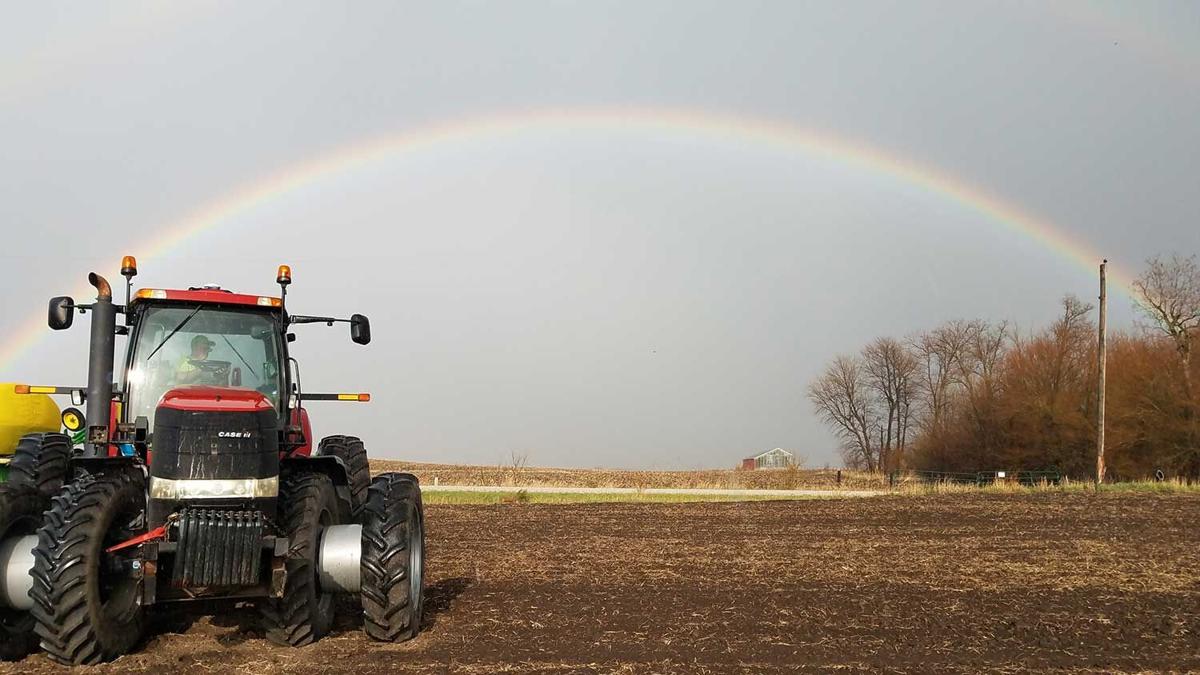 Rainbow-2020