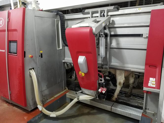 Lely robotic milker