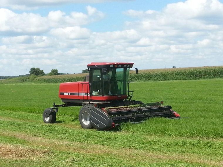 Cutting meadow hay