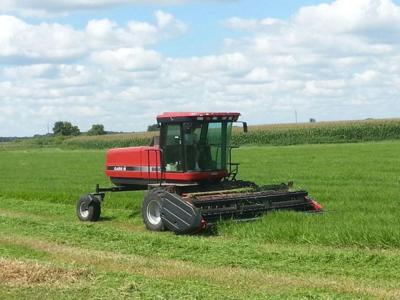 Cutting meadow hay