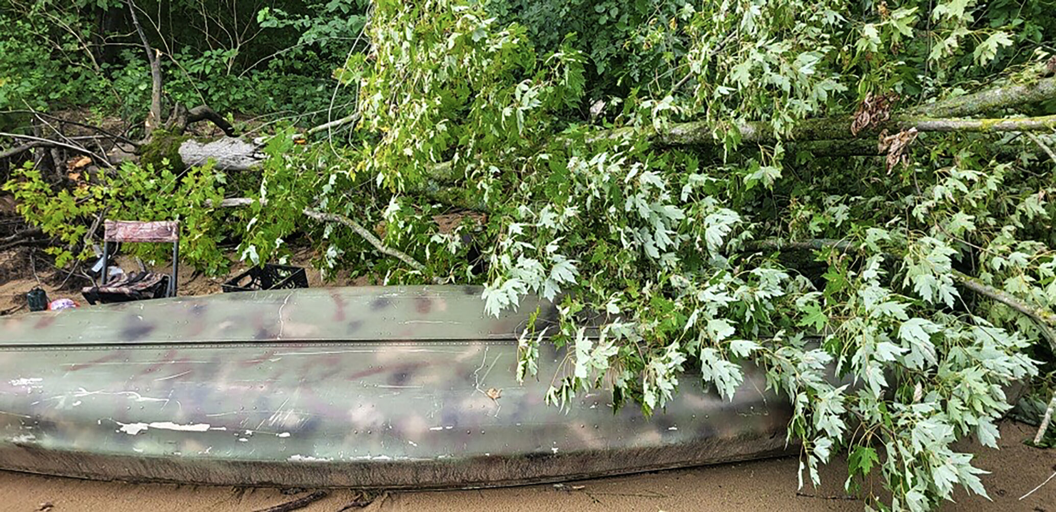 Tree falls on canoe