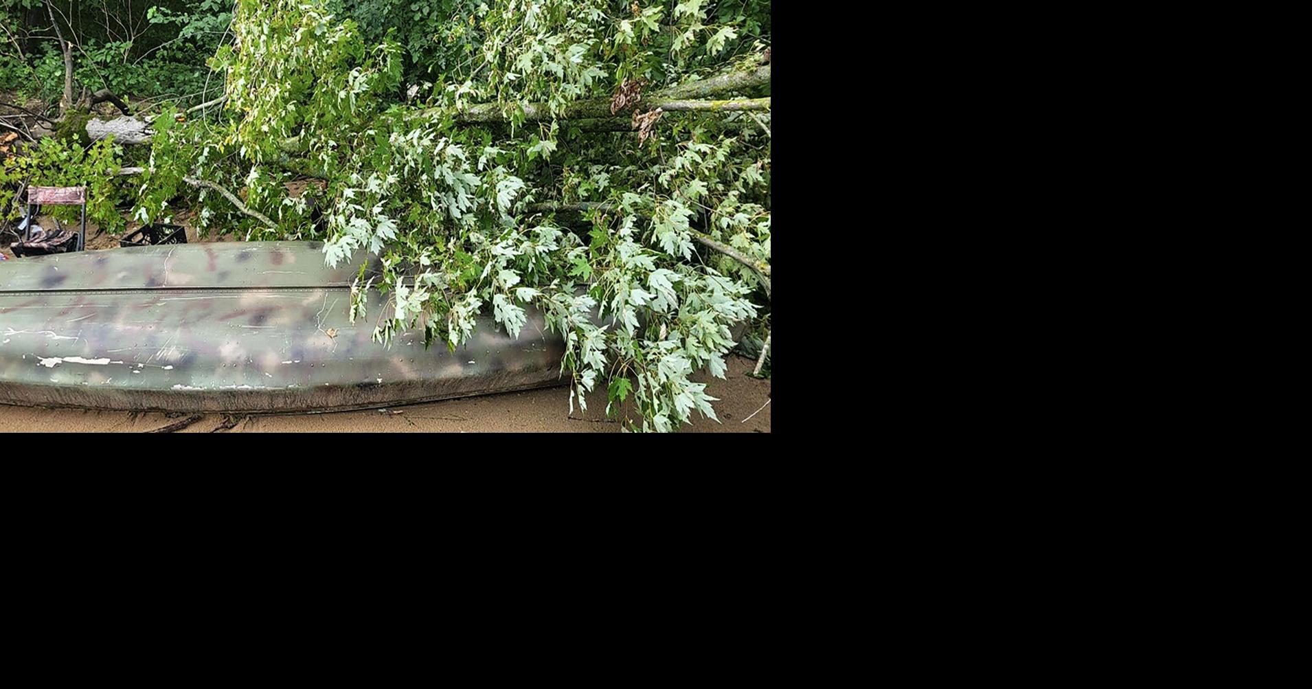 Tree falls on canoe