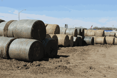 drought hay