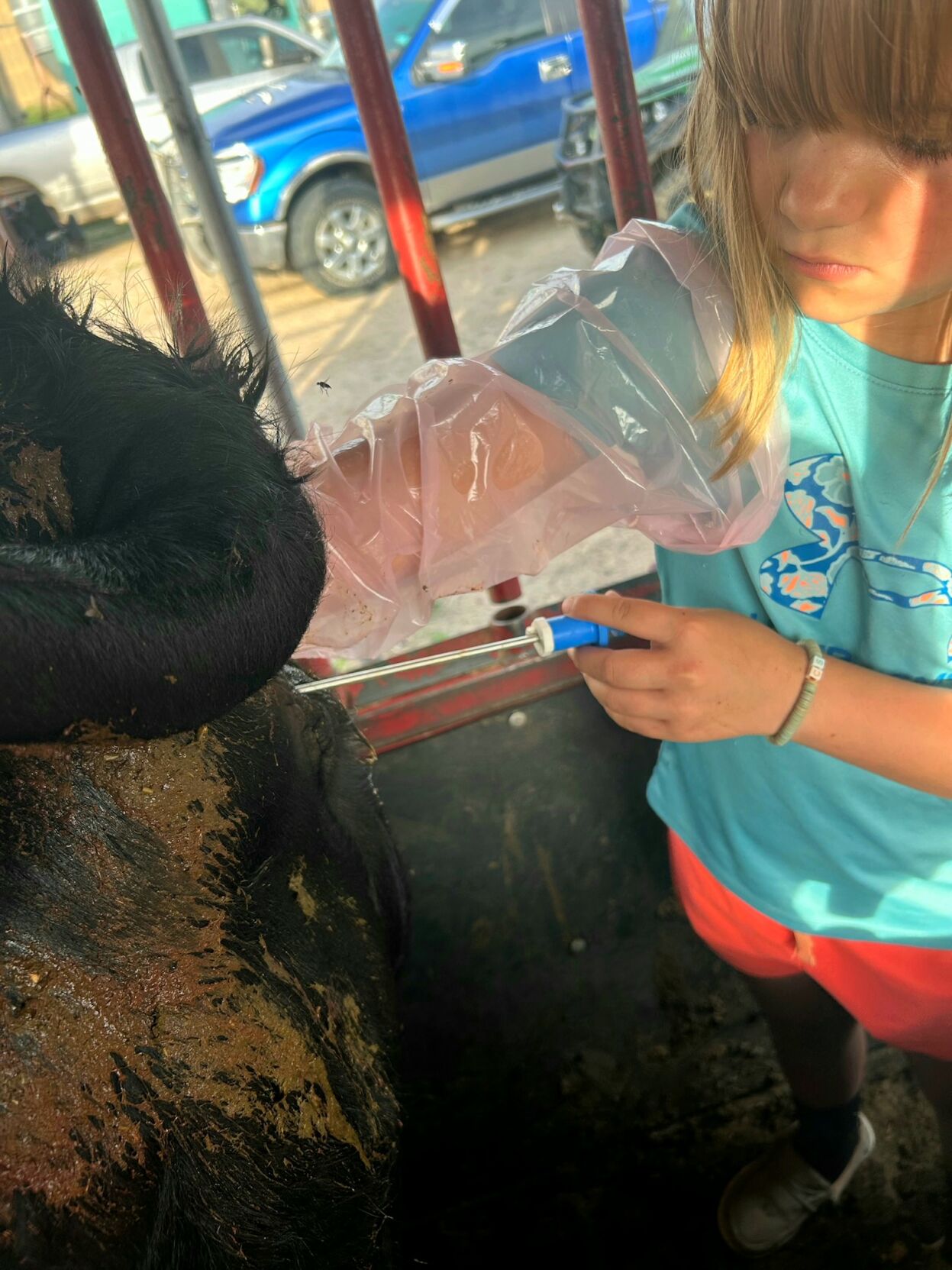 PPR Spickelmeir 3.jpg