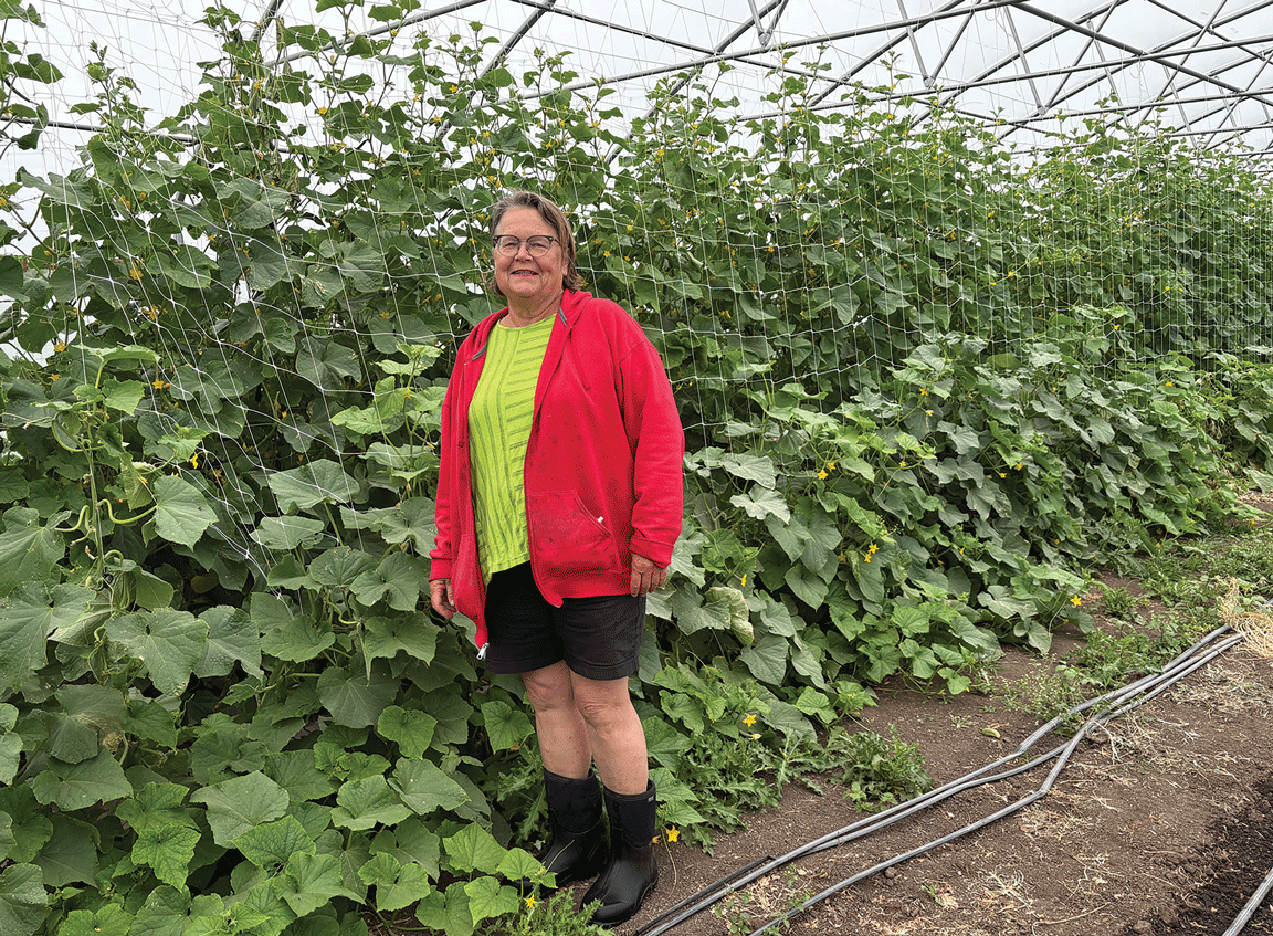 Laura Krouse hoop house