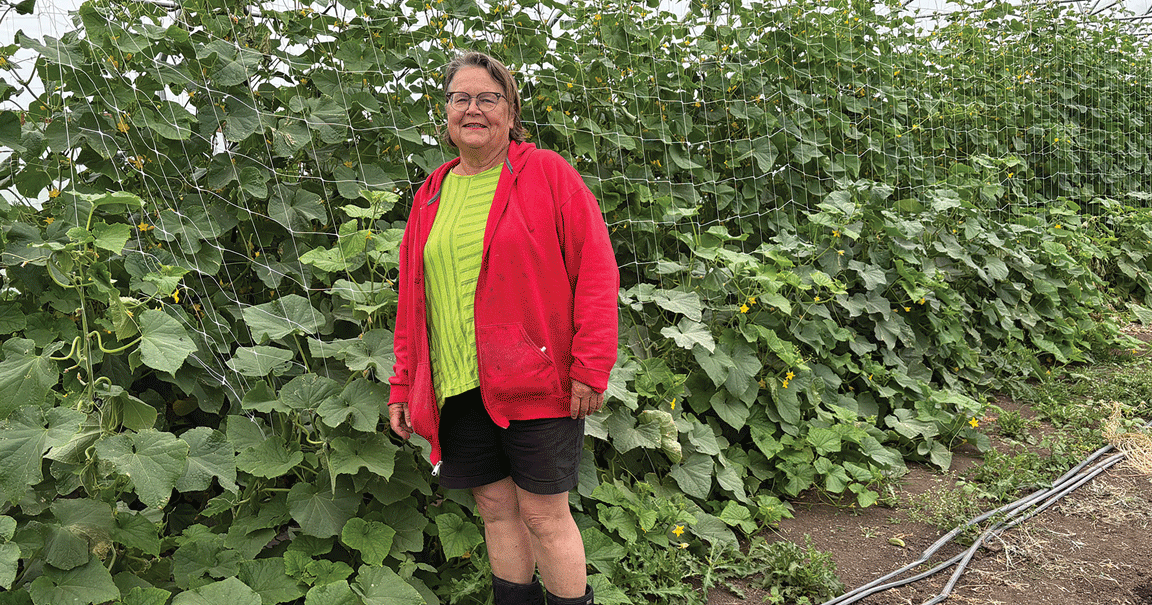 CSA owner gets creative with plans for the future