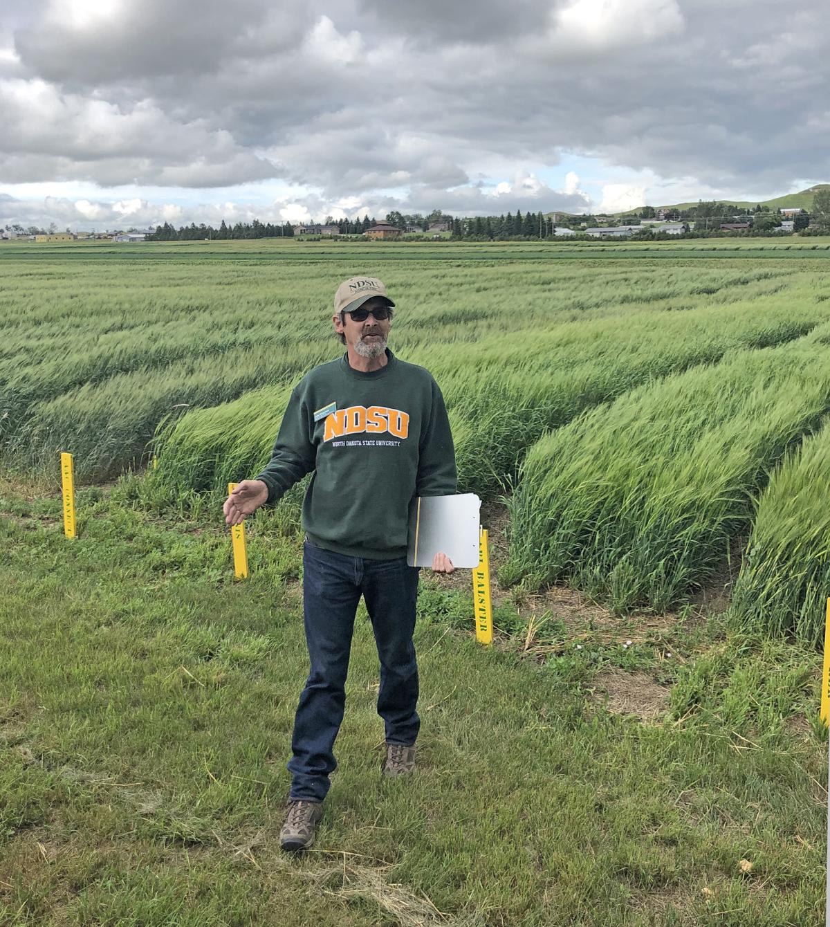 Ndsu Releases New Varieties For Several Crops State Regional