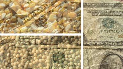 Grain market money fade