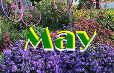 May calendar image graphic
