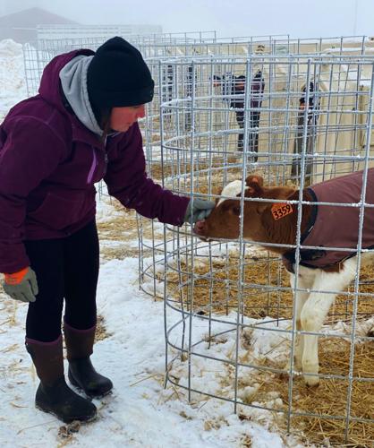 Krista Dolan with calf