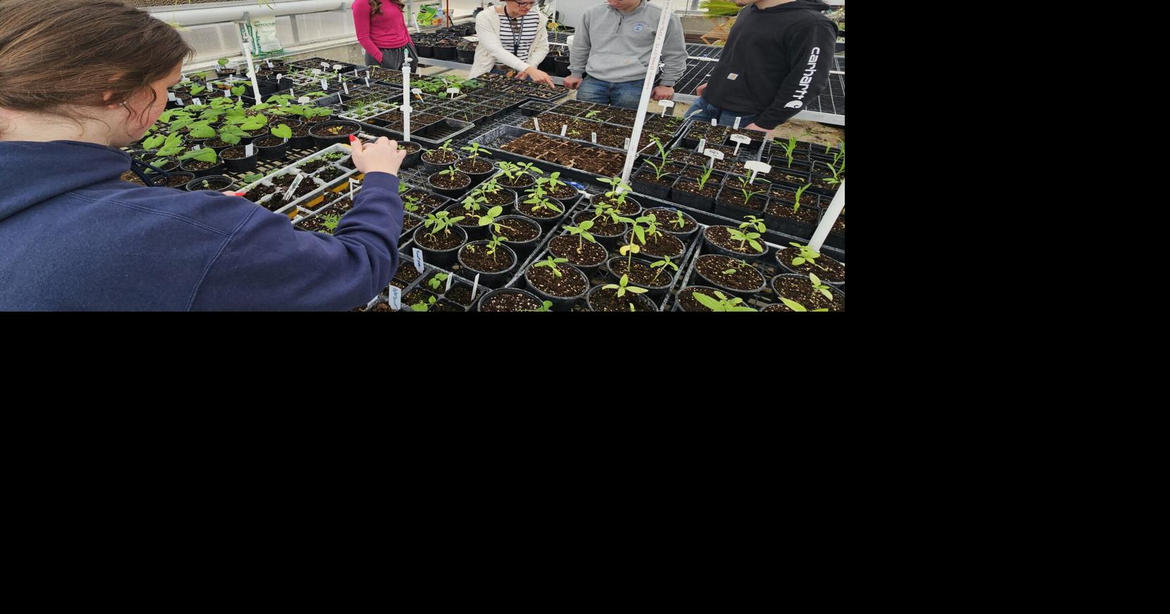 Iowa Teacher of the Year’s farm roots run deep