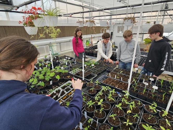 Melanie Bloom Sioux Central greenhouse March 2026.jpg