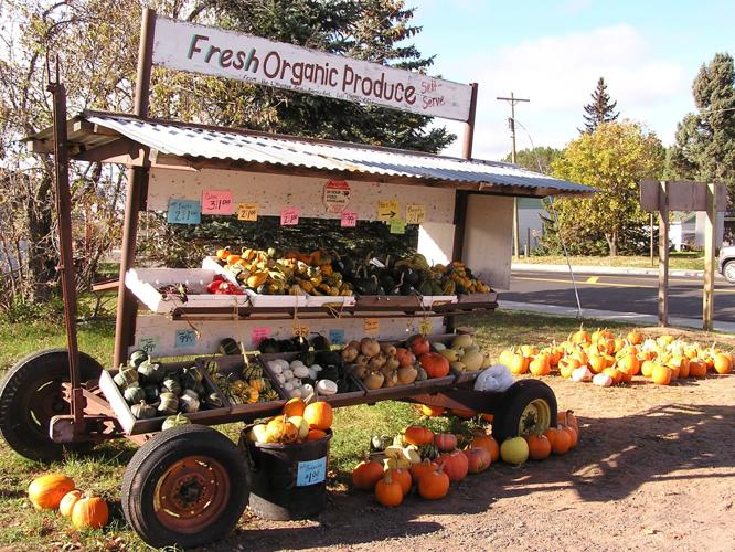 Produce farm stand