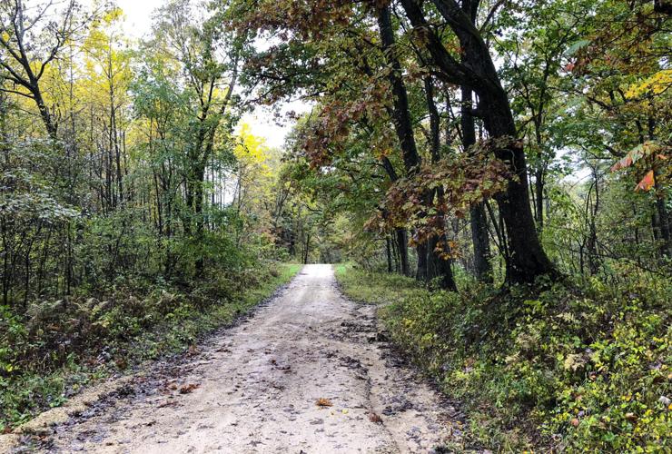 Rustic Road 91